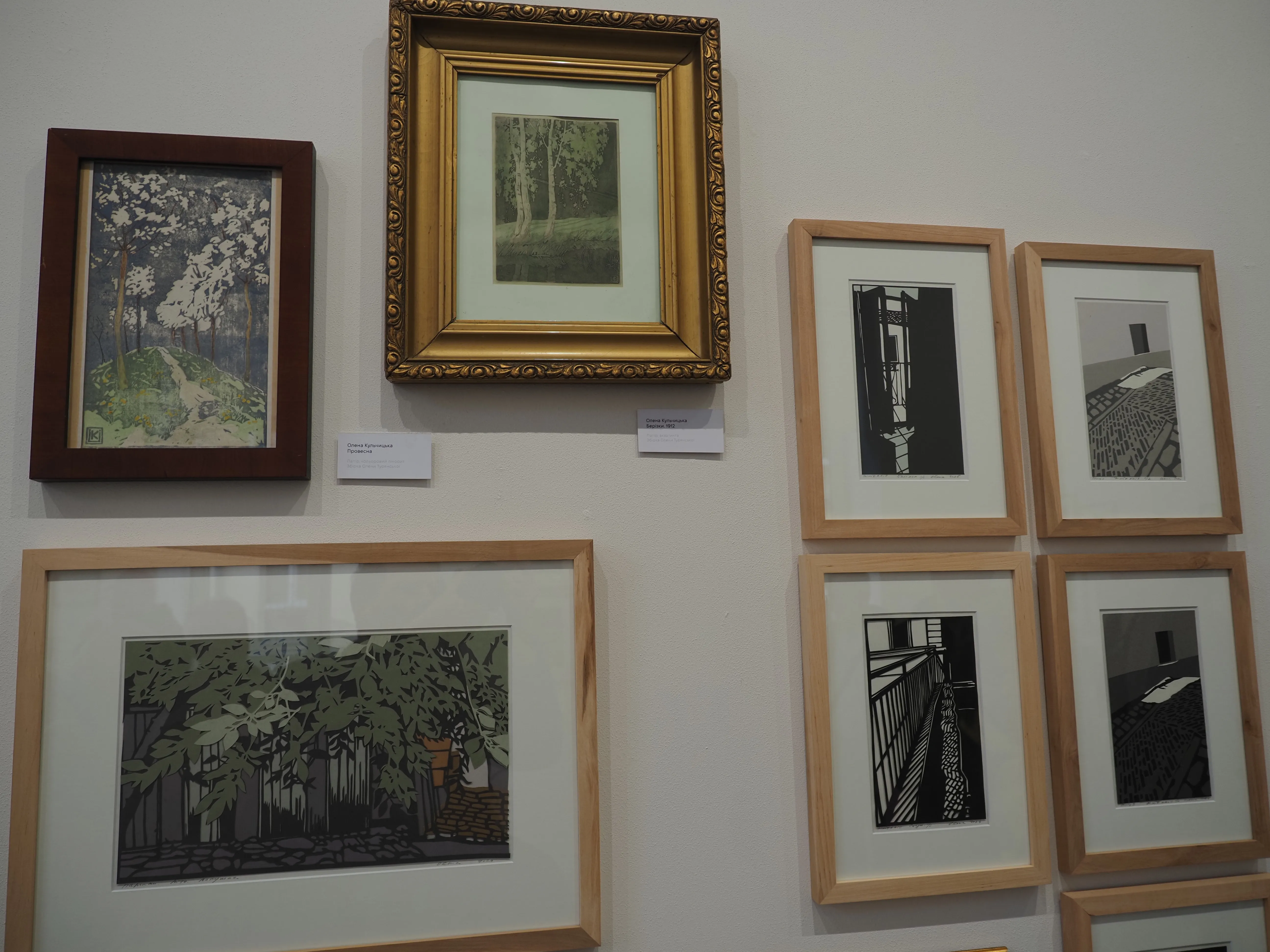 Фото до проєкту "Краса Буденного" від Shum art gallery, проєкт типу Виставки, створено у 26.03.2026 - 10.05.2026 Фото 6 з 7.