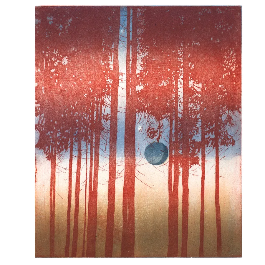 dusk (2025)