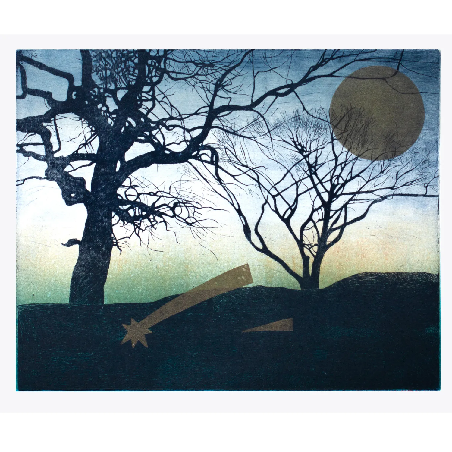 Image of Garden at night by Stratiychuk Oksana, size: 30 х 37 см, made of etching, Graphics medium, priced at $300