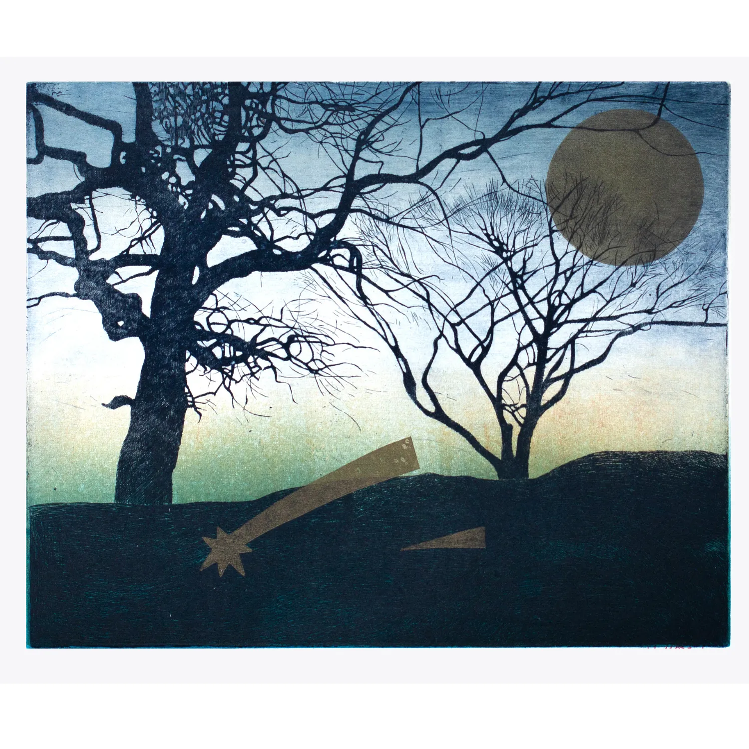 Image of Garden at night by Stratiychuk Oksana, size: 30 х 37 см, made of etching, Graphics medium, priced at $300