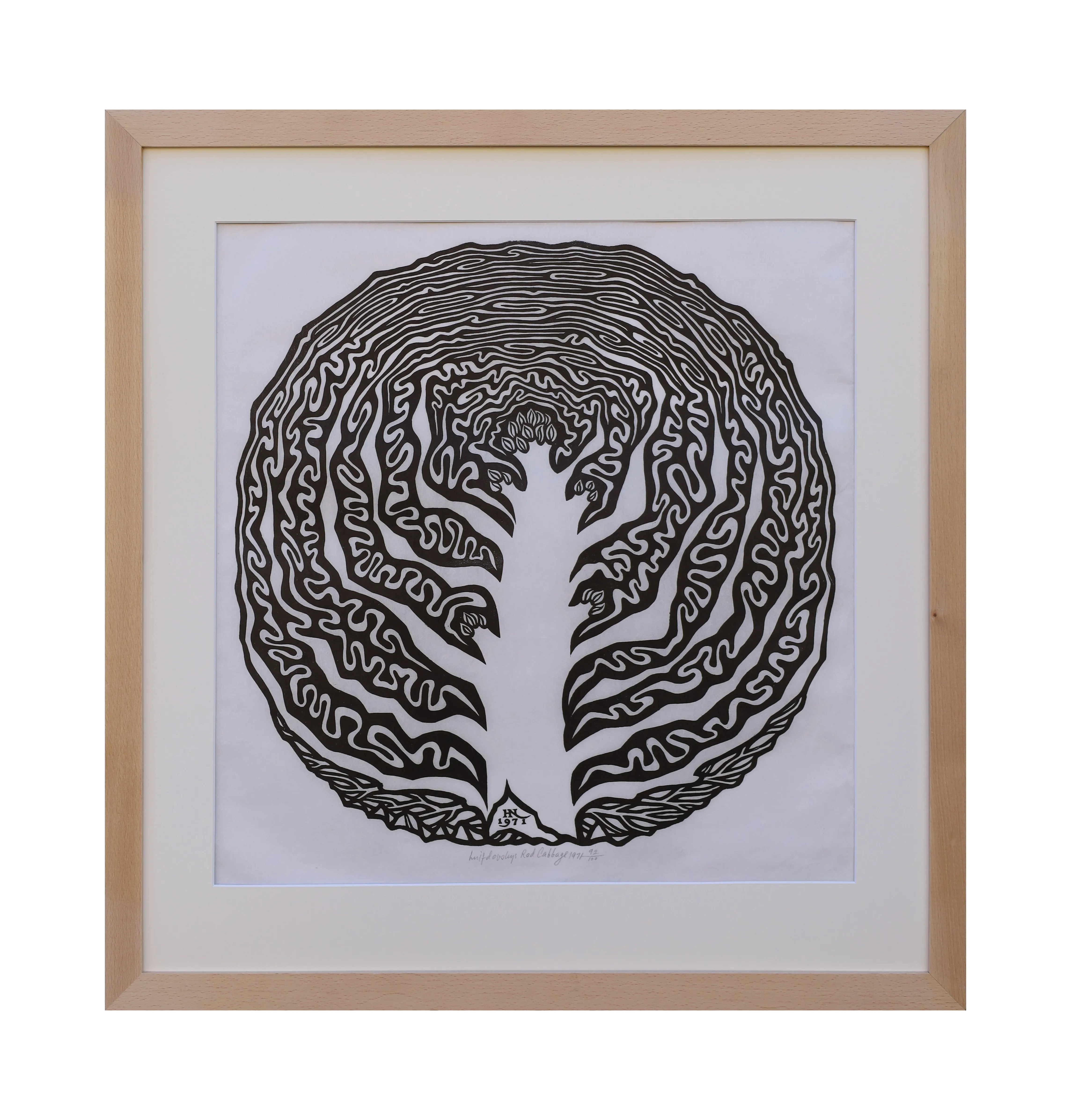 Image of Red Cabbage by Hnizdovsky Jacques , size: 45.5х45.5 cm, made of Paper, Graphics medium, part of the 92/100 series