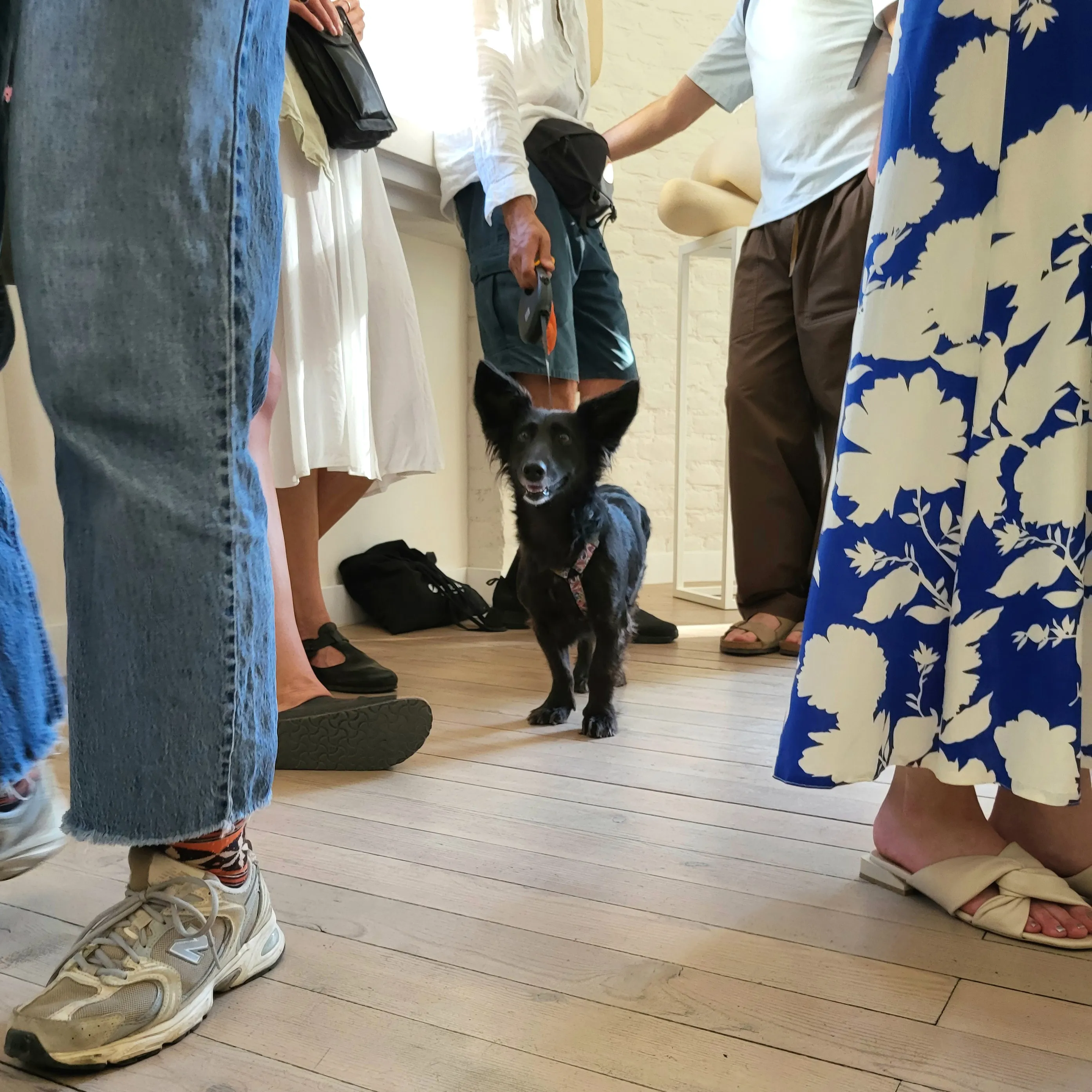 Image of Білий шум by Shum art gallery, a Exhibitions, created in 02.07.2025 - 17.08.2025 Photo 6 of 16.