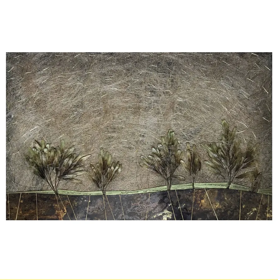 Garden (2025)