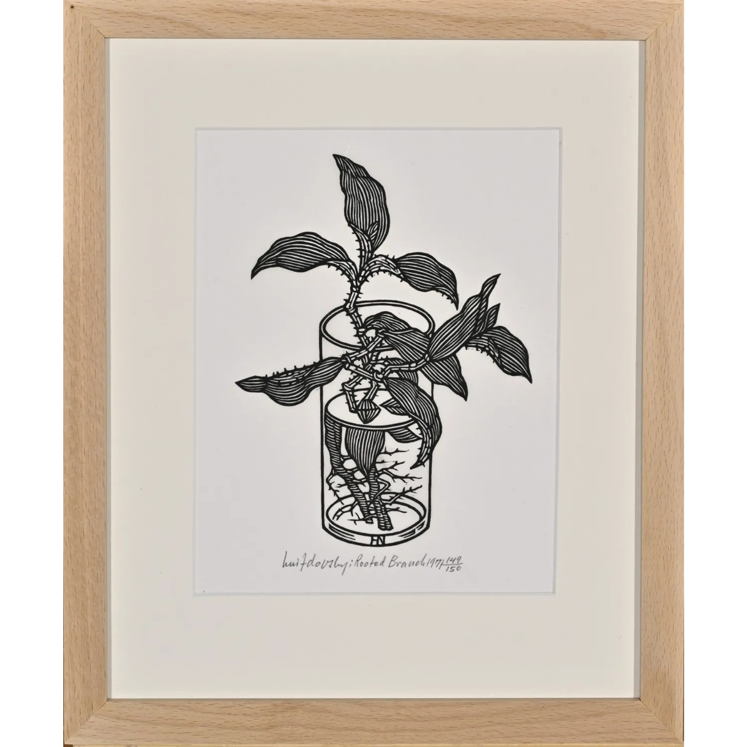 Image of Rooted Branch by Hnizdovsky Jacques , size: 20х15 см, made of woodcut, Woodcut medium, part of the 136/150 series, priced at $1050