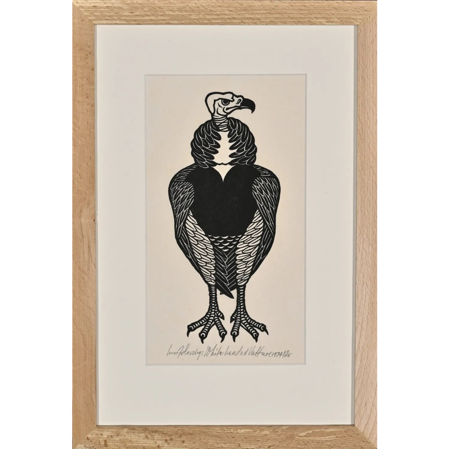 Image of White-headed Vulture by Hnizdovsky Jacques , size: 23х10 см, made of woodcut , Woodcut medium, part of the 10/100 series, priced at $1000