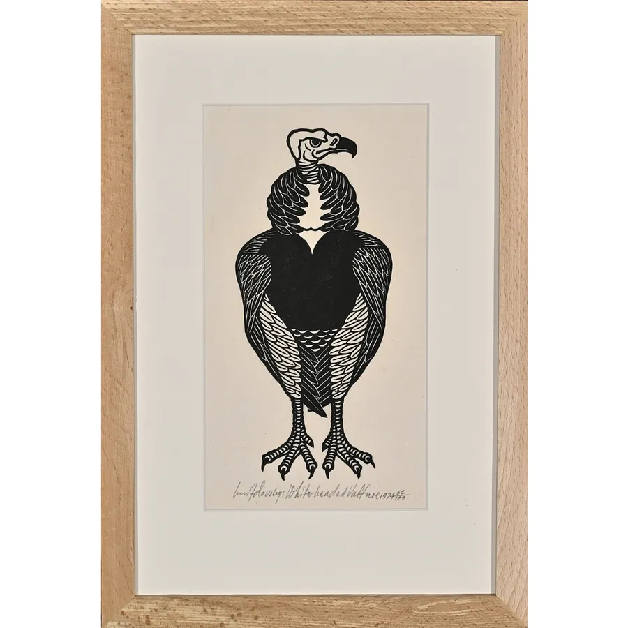 Image of White-headed Vulture by Hnizdovsky Jacques , size: 23х10 см, made of woodcut , Woodcut medium, part of the 10/100 series, priced at $1000