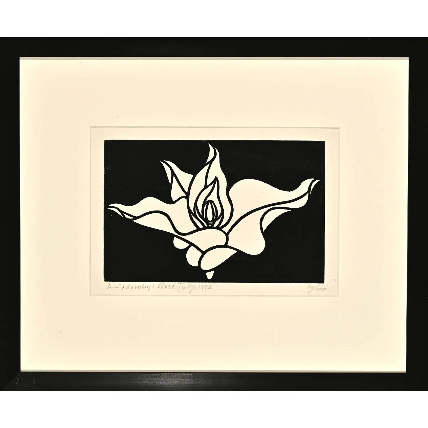 Image of First Tulip by Hnizdovsky Jacques , size: 12,5х20 см, Linocut medium, part of the 10/100 series, priced at $950