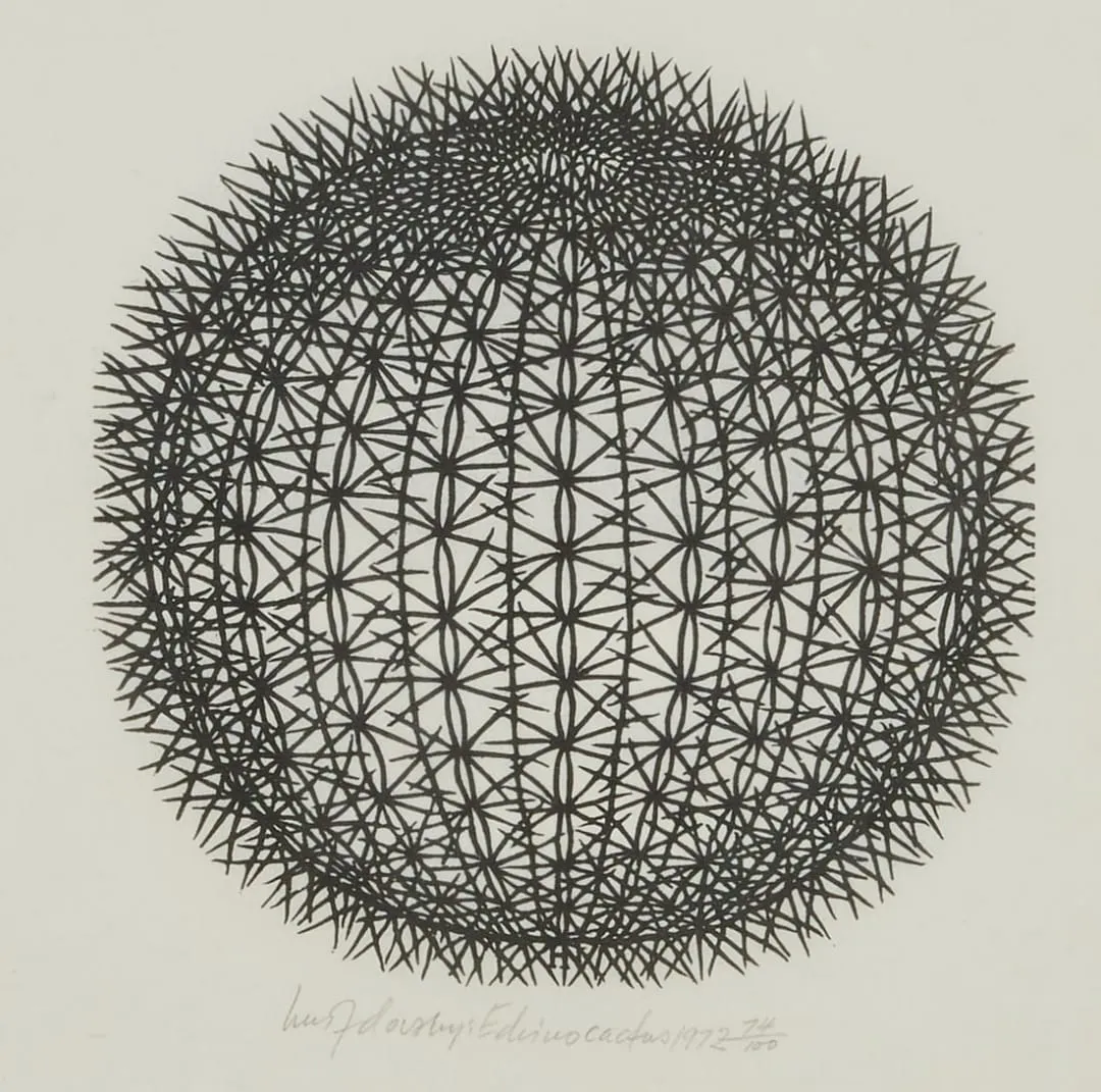 Image of Echinocactus by Hnizdovsky Jacques , size: 21 х 21 см, Woodcut medium, part of the 74/100 series, priced at $1200