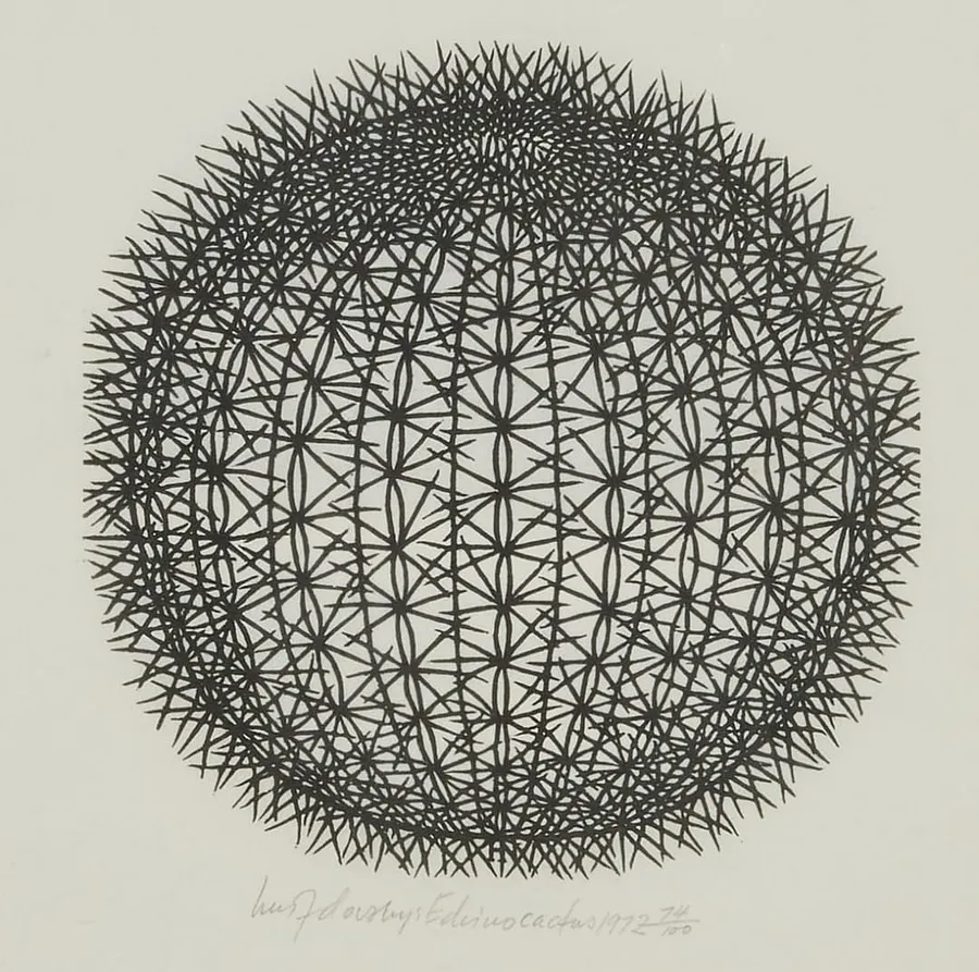 Image of Echinocactus by Hnizdovsky Jacques , size: 21 х 21 см, Woodcut medium, part of the 74/100 series, priced at $1200