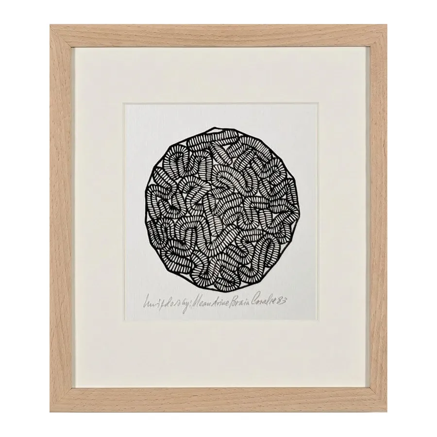 Image of Meandrine Brain Coral by Hnizdovsky Jacques , size: 15 x 15 см, Woodcut medium, part of the Unnumbered series, priced at $550