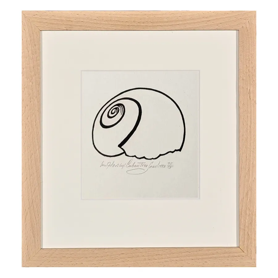 Cuban Tree Snail (1983)