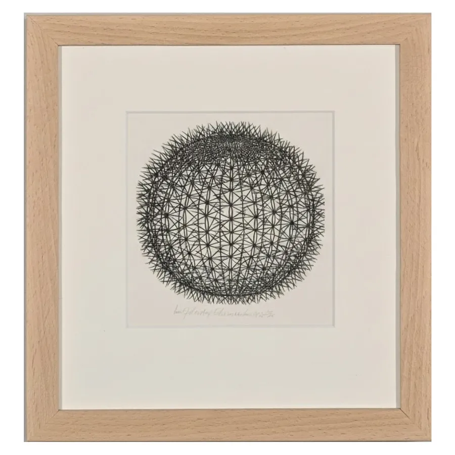 Image of Echinocactus by Hnizdovsky Jacques , size: 22 х 21 см, Woodcut medium, part of the 74/100 series