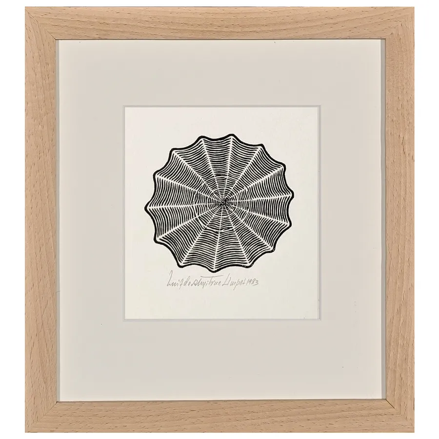 Image of True Limpet by Hnizdovsky Jacques , size: 16 х 14 см, Woodcut medium, part of the Unnumbered series